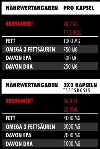 Big Zone Omega 3 Fury Triglyceride